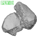 DV16-127 Homo sapiens navicular right ply