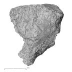 DV16-129 Homo sapiens cuboid right dorsal