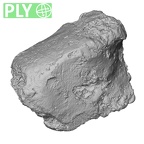 DV16-134 Homo sapiens lateral cuneiform right ply