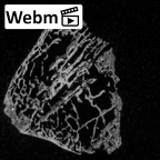 DV16-135 Homo sapiens lateral cuneiform left ct stack movie