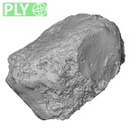 DV16-135 Homo sapiens lateral cuneiform left ply