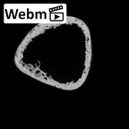 DV16-136 Homo sapiens metatarsal first right ct stack movie