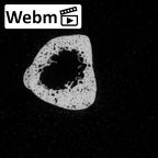 DV16-138 Homo sapiens metatarsal second right ct stack movie