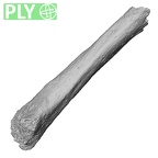 DV16-139 Homo sapiens metatarsal second left ply