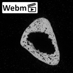 DV16-140 Homo sapiens metatarsal third right ct stack movie