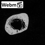 DV16-144 Homo sapiens metatarsal fifth right ct stack movie