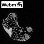 DV16-146 Homo sapiens foot phalanx first proximal right ct stack movie