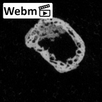 DV16-150 Homo sapiens foot phalanx second middle right ct stack movie
