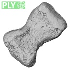 DV16-150 Homo sapiens foot phalanx second middle right ply