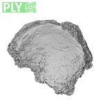 DV39 Homo sapiens navicular right ply