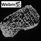 DV46 Homo sapiens intermediate cuneiform left ct stack movie
