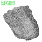 DV46 Homo sapiens intermediate cuneiform left ply