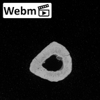 DV13-90 Homo sapiens metacarpal second right ct stack movie
