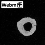 DV13-92 Homo sapiens metacarpal third left ct stack movie