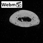 DV13-97 Homo sapiens hand phalanx fourth middle left ct stack movie