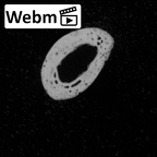 DV13-98 Homo sapiens hand phalanx fifth middle left ct stack movie