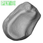 DV14-113 Homo sapiens lunate left ply