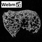 DV14-114 Homo sapiens triquetrum right ct stack movie