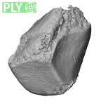 DV14-114 Homo sapiens triquetrum right ply