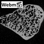 DV14-115 Homo sapiens pisiform right ct stack movie