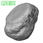 DV14-115 Homo sapiens pisiform right ply