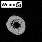 DV14-117 Homo sapiens metacarpal second right ct stack movie