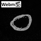 DV14-118 Homo sapiens hand phalanx first proximal right ct stack movie