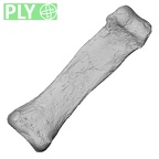 DV14-120 Homo sapiens hand phalanx fourth proximal right ply
