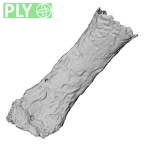 DV14-121 Homo sapiens hand phalanx fifth proximal ply