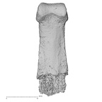 DV14-122 Homo sapiens hand phalanx second middle palmar