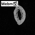 DV14-123 Homo sapiens hand phalanx second middle ct stack movie