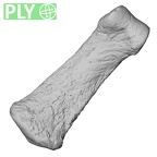 DV14-123 Homo sapiens hand phalanx second middle ply