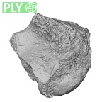 DV14-UNKNOWN Homo sapiens pisiform ply