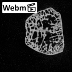 DV15-105 Homo sapiens trapezoid right ct stack movie