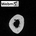 DV15-109 Homo sapiens metacarpal third right ct stack movie