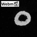 DV15-110 Homo sapiens metacarpal third left ct stack movie