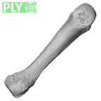 DV15-111 Homo sapiens metacarpal fourth right ply