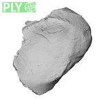 DV15-114 Homo sapiens hand phalanx fifth proximal right ply