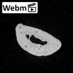DV15-115 Homo sapiens hand phalanx fourth middle left ct stack movie
