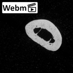 DV15-118 Homo sapiens hand phalanx second middle right ct stack movie