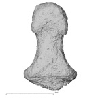 DV16-100 Homo sapiens hand phalanx fourth distal right palmar