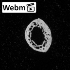 DV16-100 Homo sapiens hand phalanx fourth distal right ct stack movie