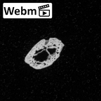 DV16-101 Homo sapiens hand phalanx fourth distal left ct stack movie