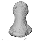 DV16-103 Homo sapiens hand phalanx second distal left dorsal