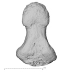 DV16-103 Homo sapiens hand phalanx second distal left palmar