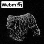 DV16-67 Homo sapiens lunate right ct stack movie