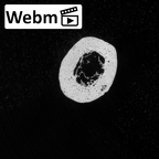 DV16-77 Homo sapiens metacarpal second left ct stack movie