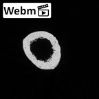 DV16-78 Homo sapiens metacarpal third right ct stack movie