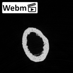 DV16-80 Homo sapiens metacarpal fourth right ct stack movie