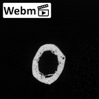 DV16-81 Homo sapiens metacarpal fourth left ct stack movie
